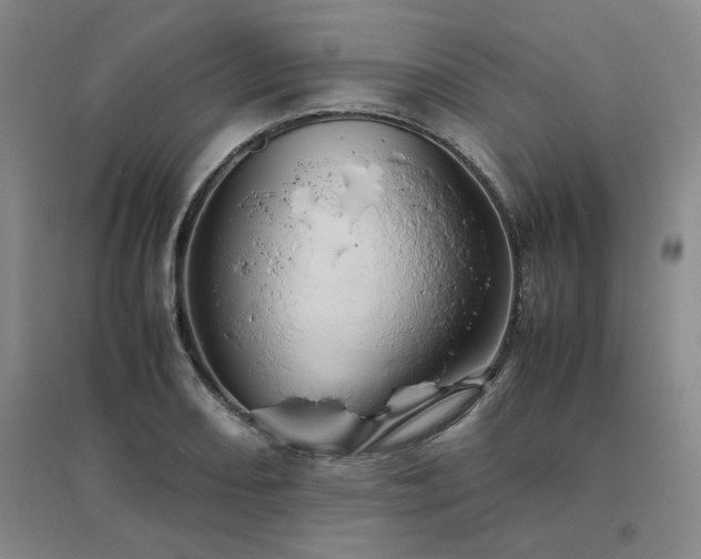 X0000094801082200711161452
