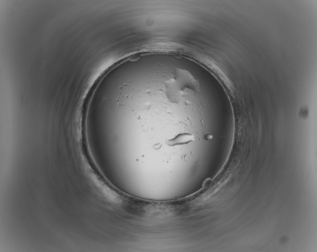 X0000094801083200711161452