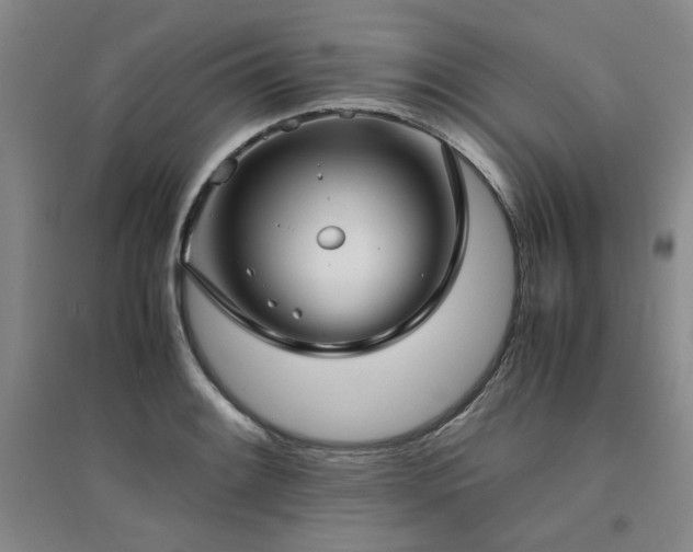 X0000094801084200711161452