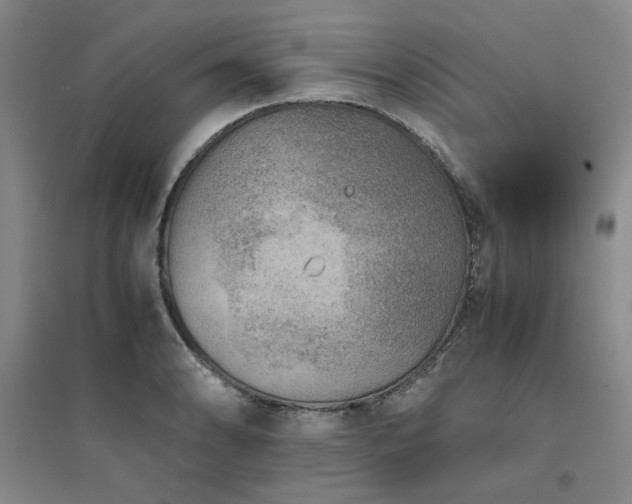 X0000094801086200711161452