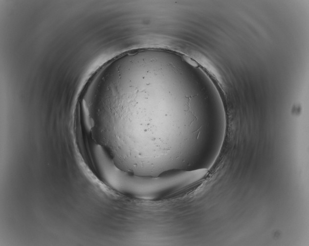 X0000094801088200711161452