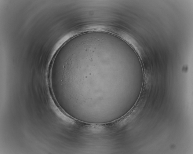 X0000094801090200711161452