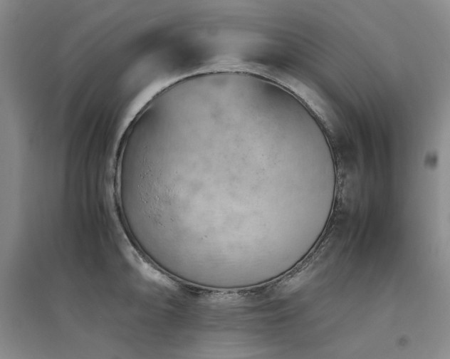 X0000094801094200711161452