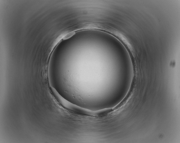 X0000094801097200711161452