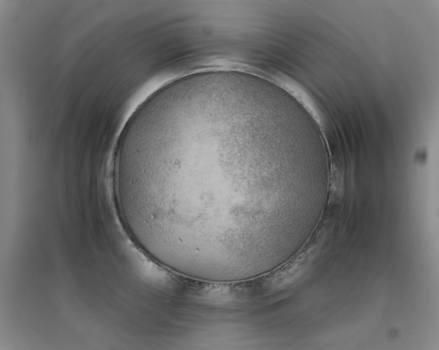X0000094801098200711161452