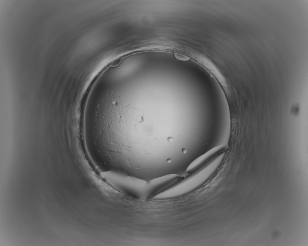 X0000094801099200711161452