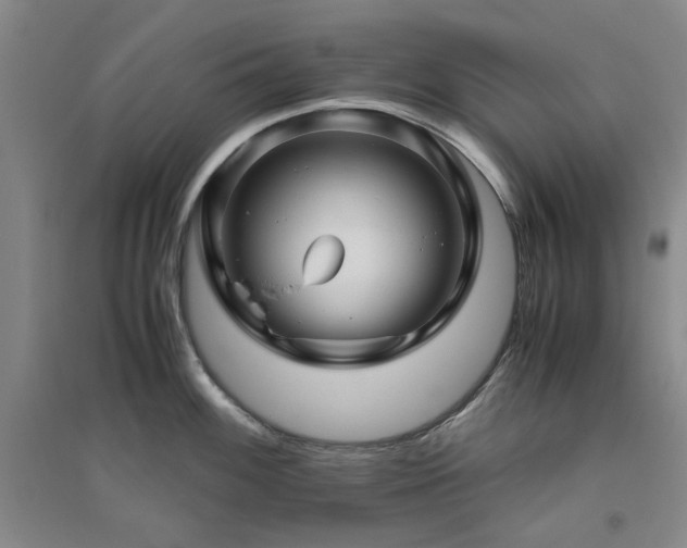 X0000094801100200711161452