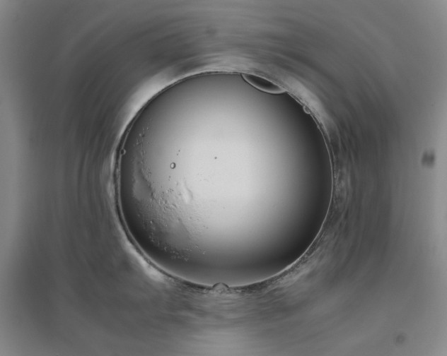 X0000094801103200711161452