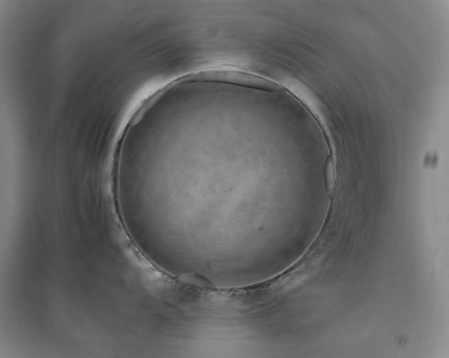X0000094801104200711161452