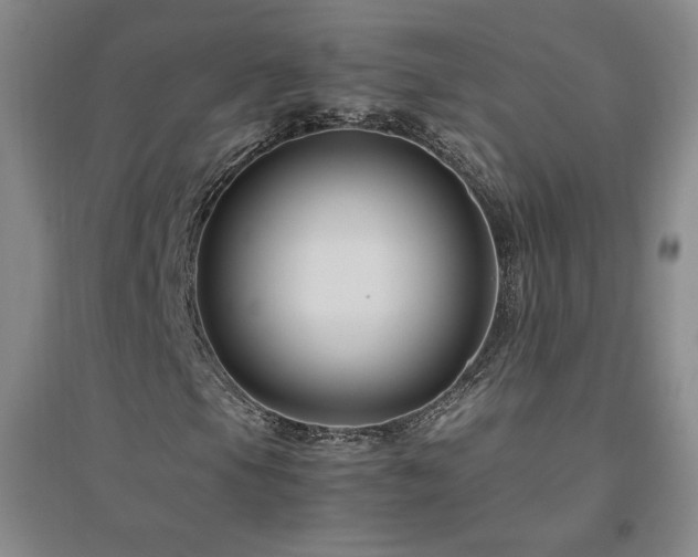 X0000094801105200711161451
