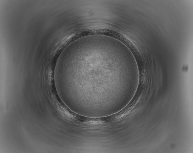 X0000094801108200711161451