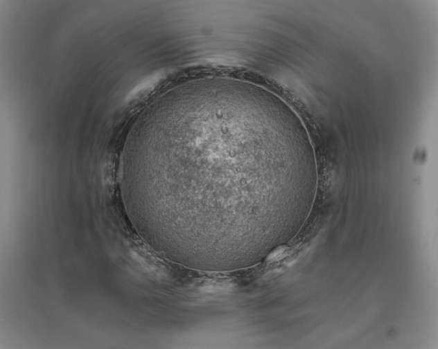 X0000094801110200711161451