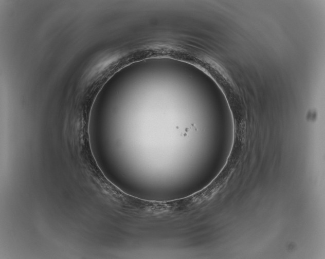 X0000094801111200711161451