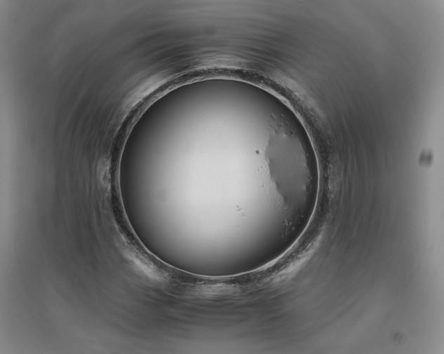 X0000094801113200711161451