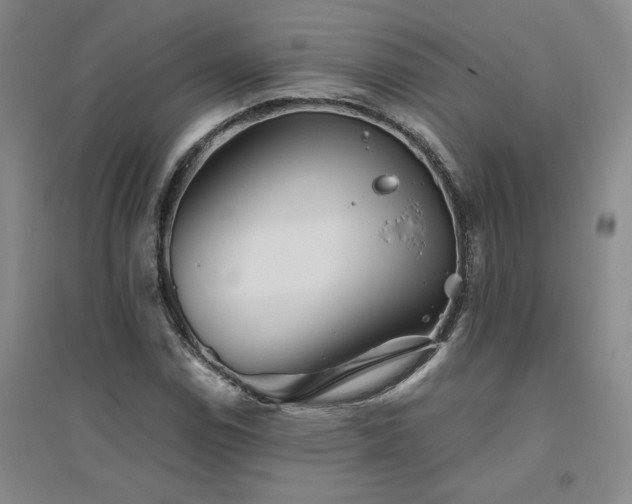 X0000094801114200711161451