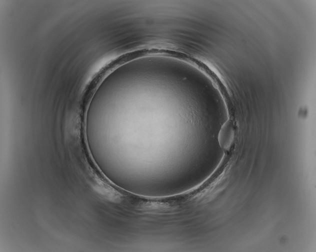 X0000094801115200711161451