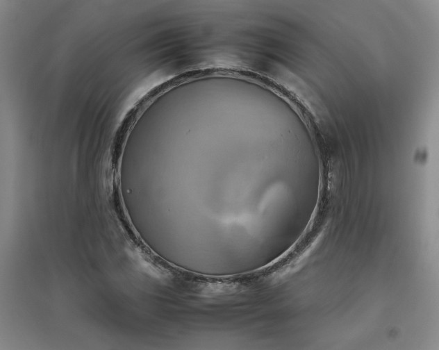 X0000094801117200711161451
