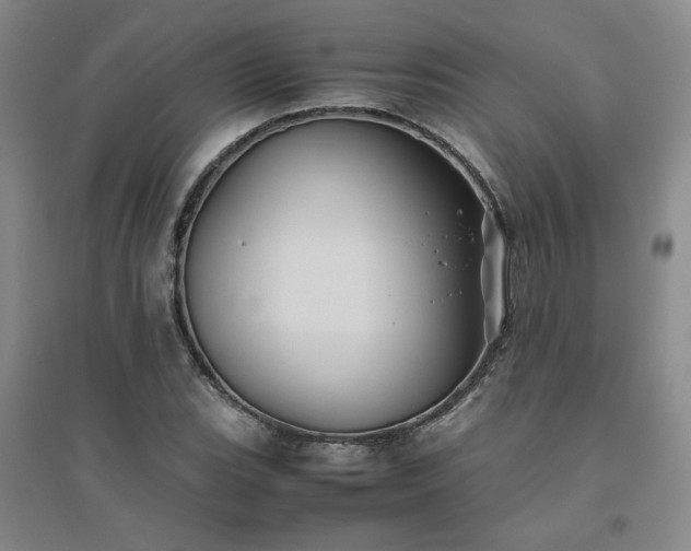 X0000094801119200711161451
