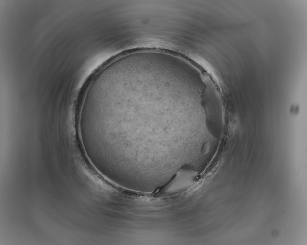 X0000094801120200711161451