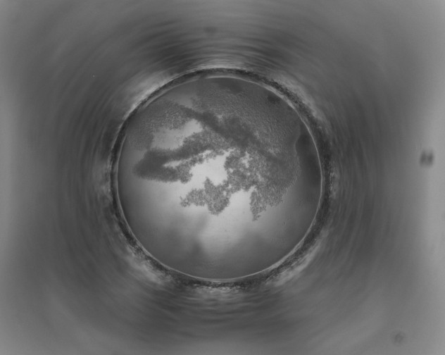 X0000094801121200711161451