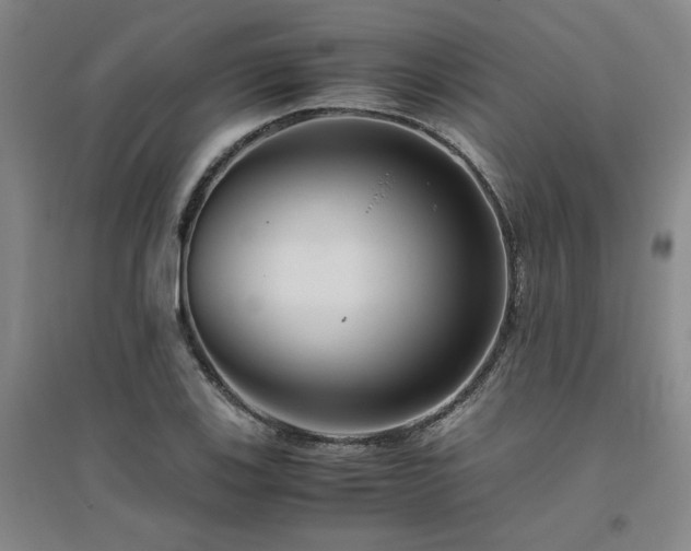 X0000094801123200711161451