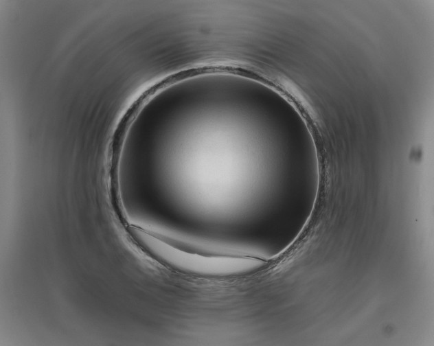 X0000094801124200711161451