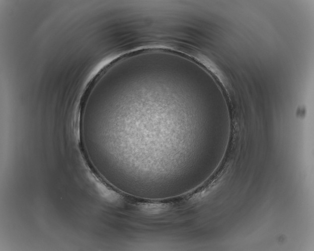 X0000094801127200711161451