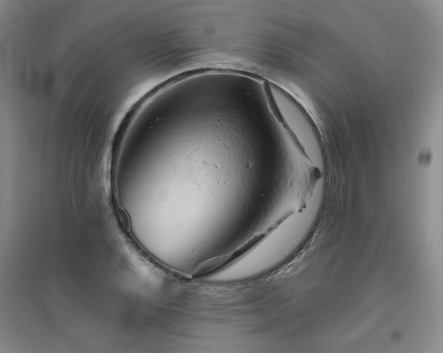 X0000094801128200711161451