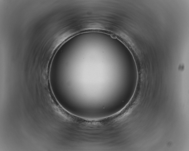 X0000094801129200711161451
