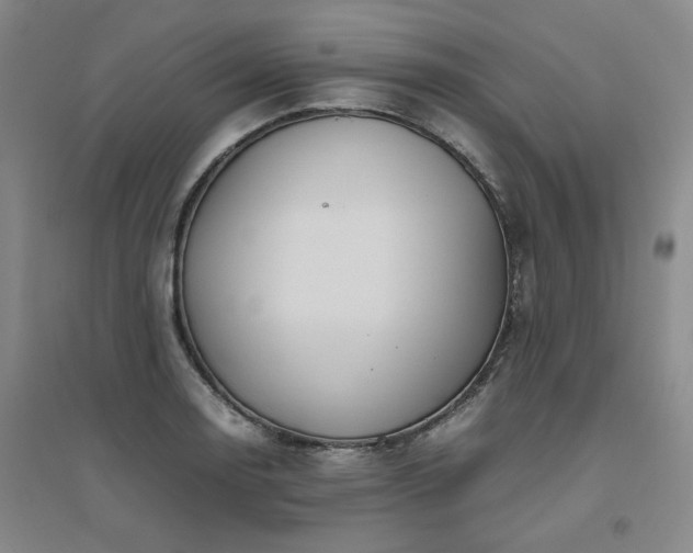 X0000094801130200711161451