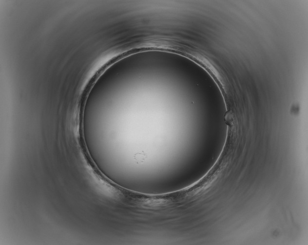 X0000094801131200711161451