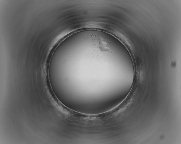 X0000094801133200711161451