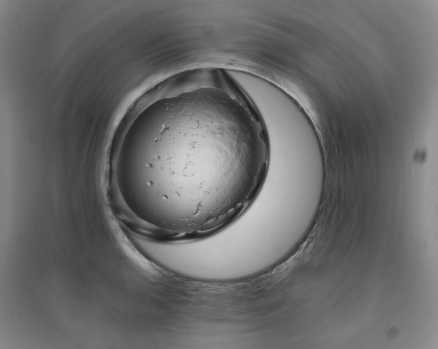 X0000094801136200711161451