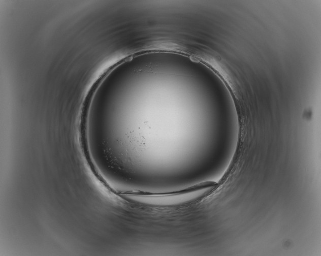 X0000094801139200711161451