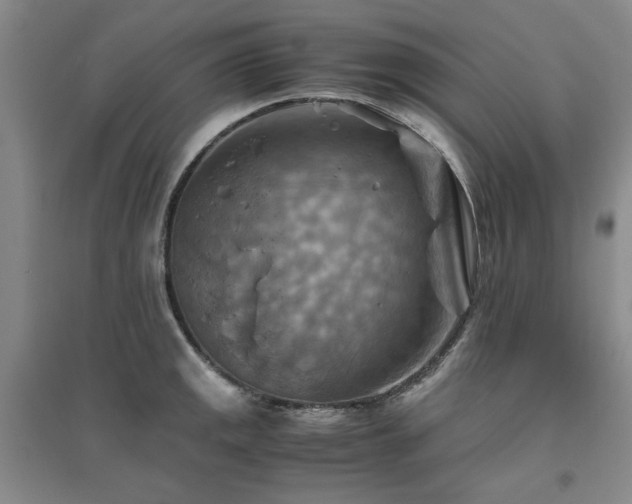 X0000094801141200711161451