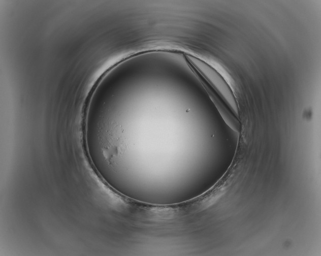 X0000094801142200711161451