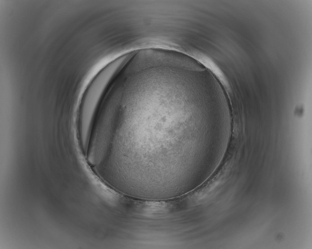 X0000094801144200711161451