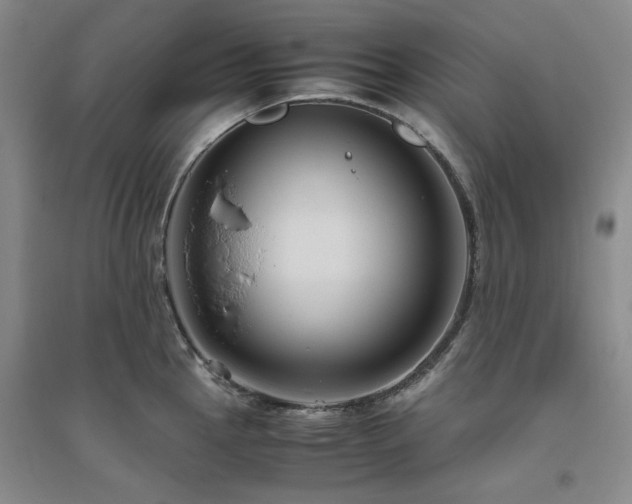 X0000094801145200711161452