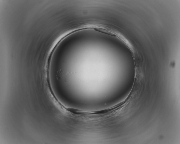 X0000094801148200711161452