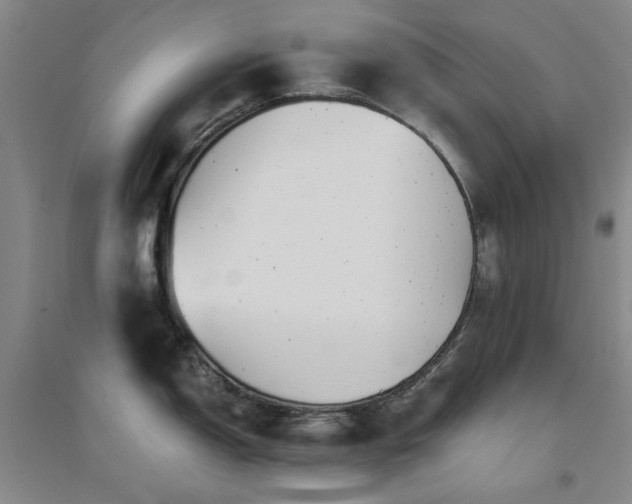 X0000094801150200711161452