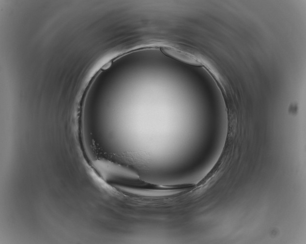 X0000094801151200711161452