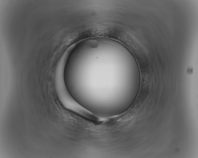 X0000094801153200711161451