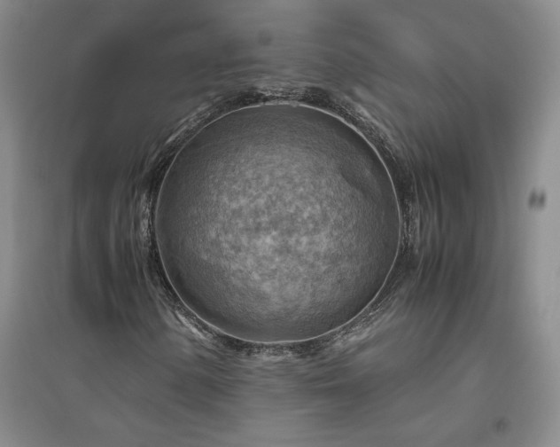 X0000094801154200711161451