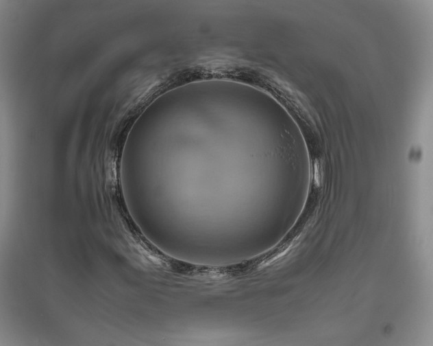 X0000094801155200711161451