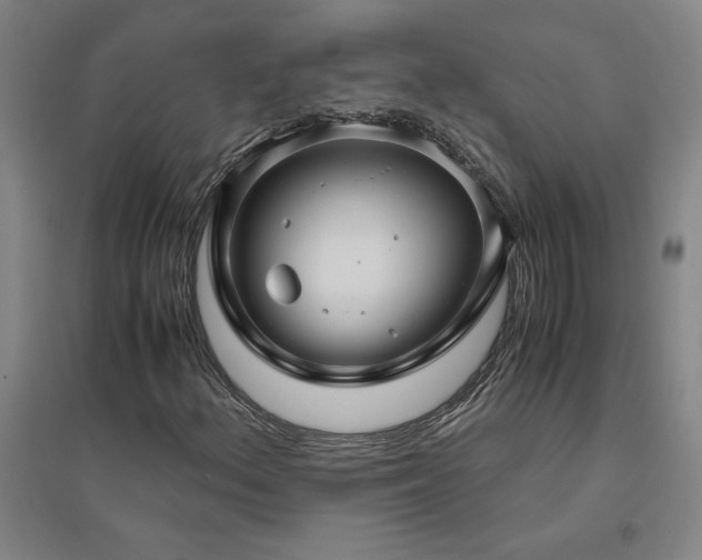 X0000094801156200711161451