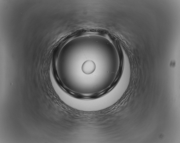 X0000094801157200711161451