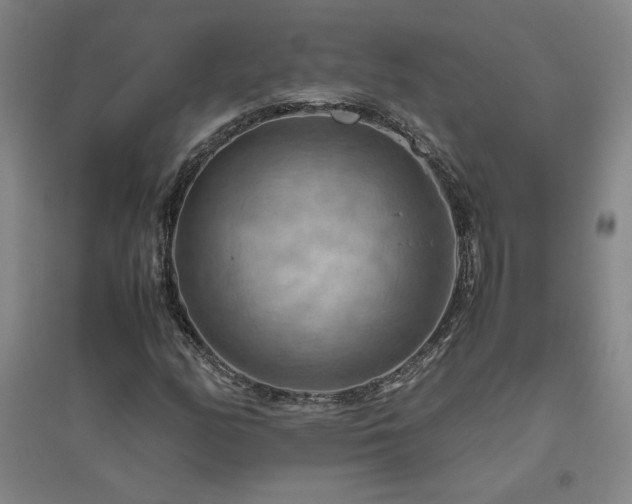 X0000094801158200711161451