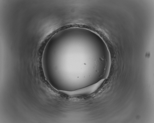 X0000094801159200711161451