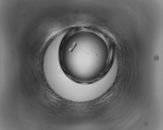 X0000094801160200711161451