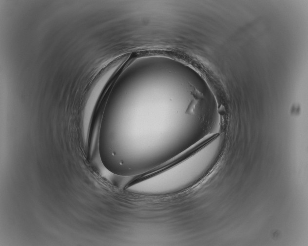 X0000094801161200711161451